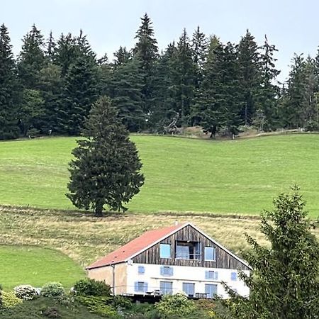 Maison D'Hotes Des Hauts De La Piquante Pierre Basse-sur-le-Rupt Екстер'єр фото